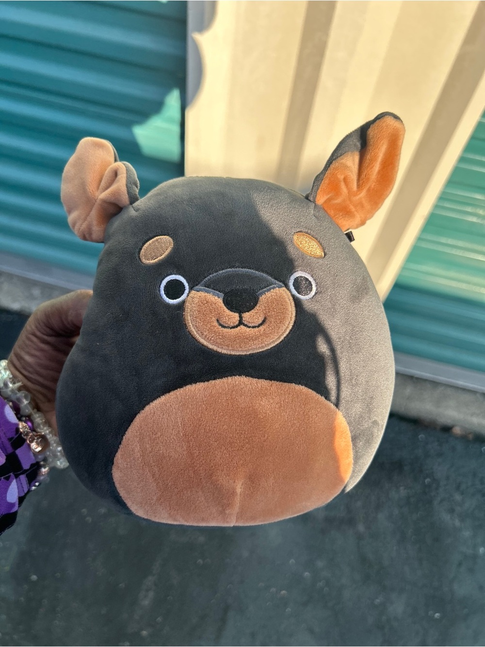 This is the Squishmallows Mateo the Rottweiler plush toy.